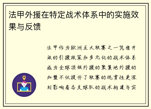 法甲外援在特定战术体系中的实施效果与反馈