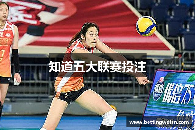 知道五大联赛投注